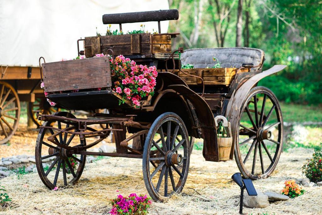 Cozy Wild West Covered Wagon Next To River Грант-Пасс Экстерьер фото